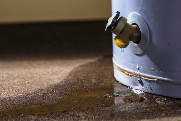 Best Flood damage cleanup  in South Taft, CA