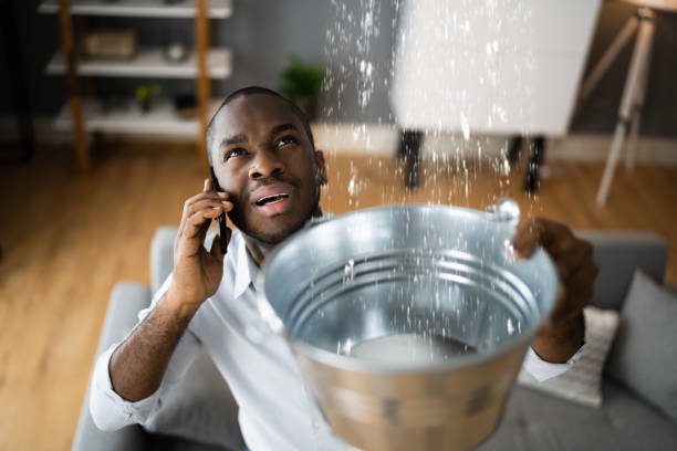 Best Water damage contractors near me  in South Taft, CA