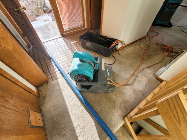 Water damage restoration mold remediation in South Taft, CA
