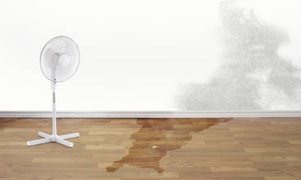 Best Water damage repair service  in South Taft, CA