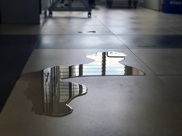 Best Water damage mitigation services  in South Taft, CA