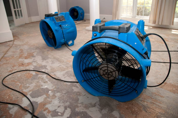 Best Residential water damage restoration  in South Taft, CA