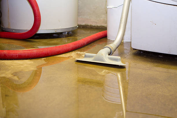 Best Water damage restoration mold remediation  in South Taft, CA