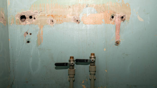 Best Flooded house restoration  in South Taft, CA