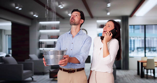 Best Professional water damage repair  in South Taft, CA